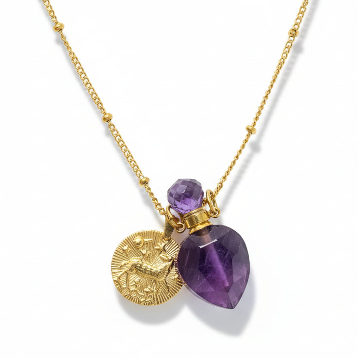 Aries zodiac necklace with amethyst crystal pendant bottle