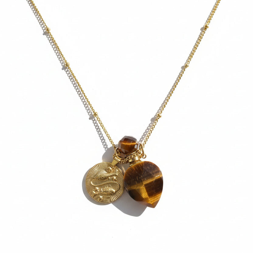 Picses zodic necklace with Tiger eye crystal pendant