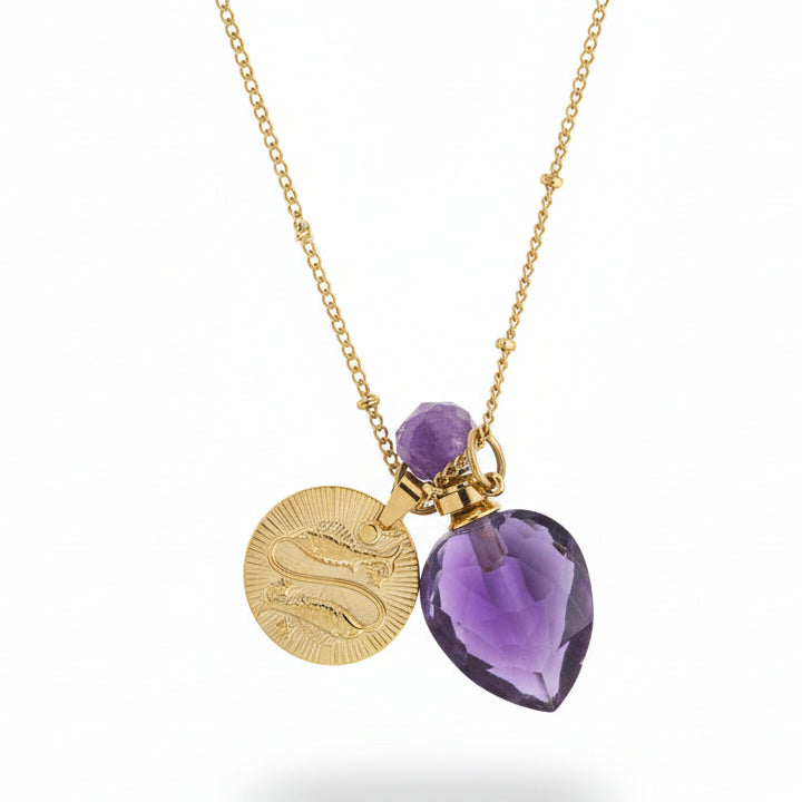 Pisces horoscope necklace with amethyst crystal pendant